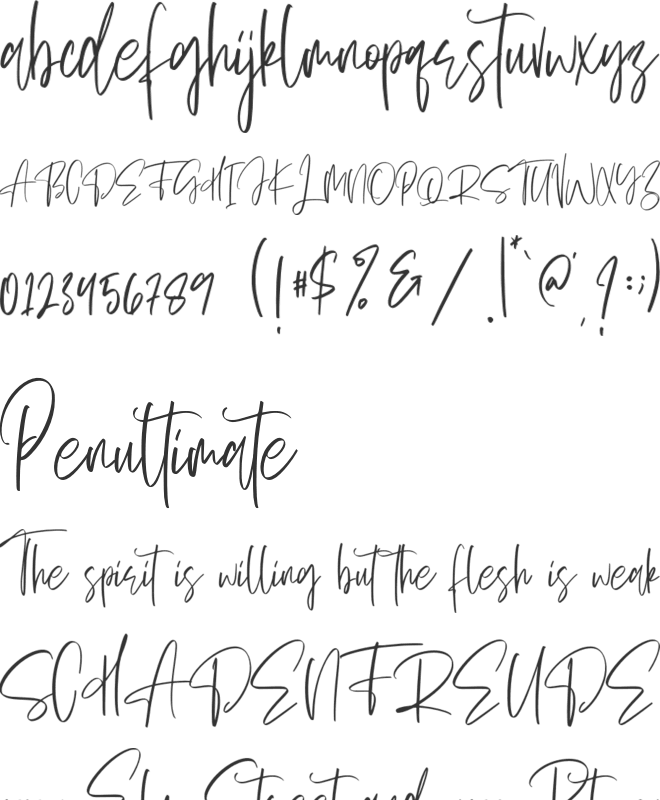 Sellviny Queen font preview