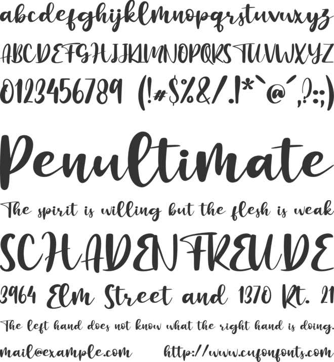 Botanical Flourish - Personal U font preview