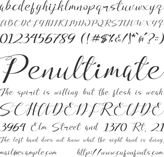 Beauty Dina font preview