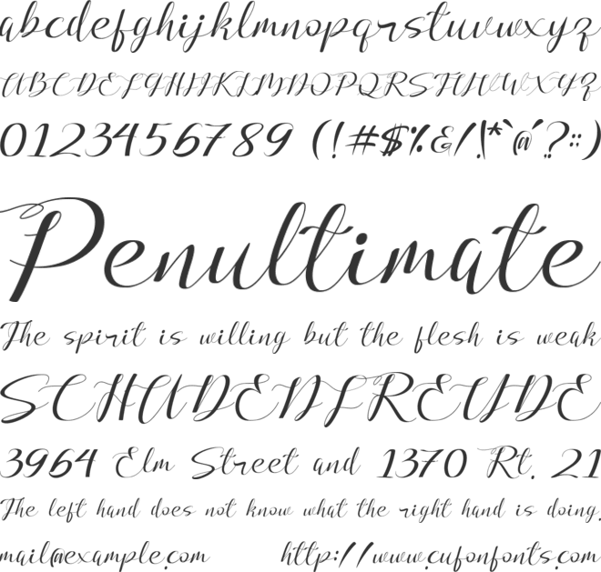Beauty Dina font preview