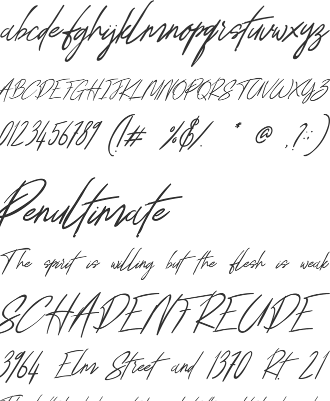 Annie Signature font preview