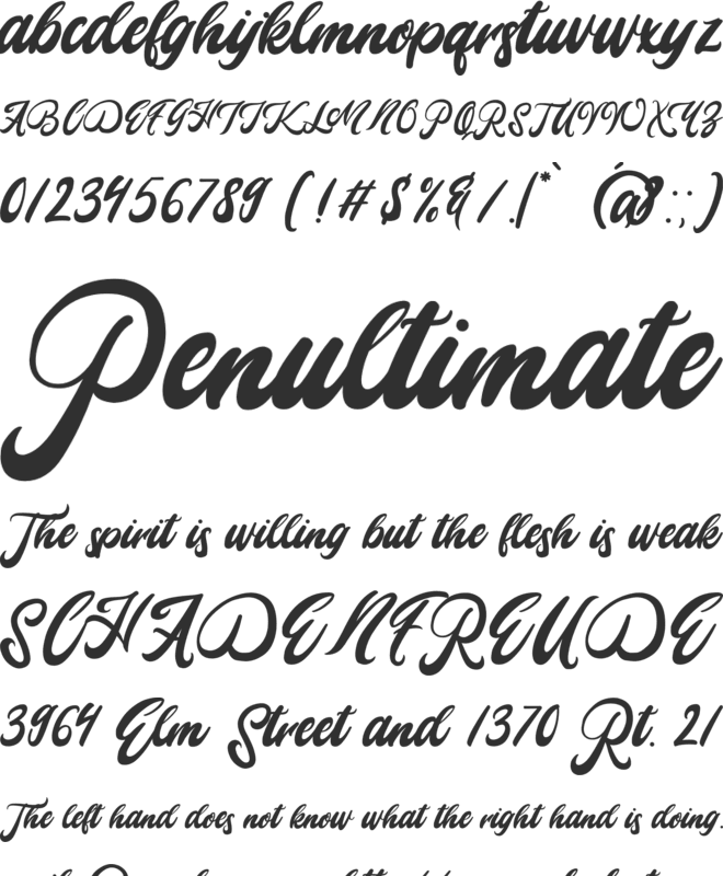 Mady Risaw font preview
