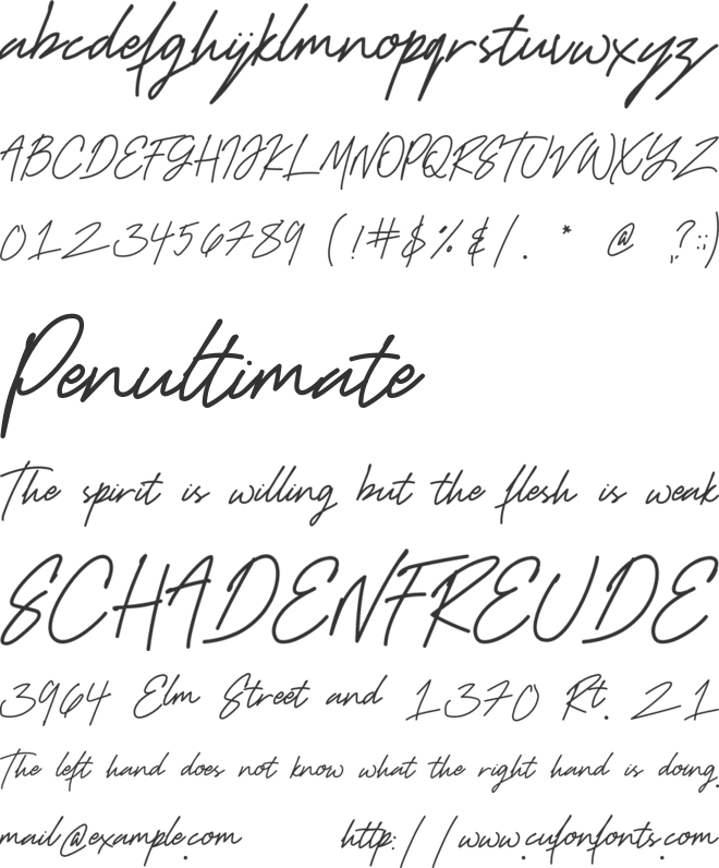 Redmond Fashion font preview