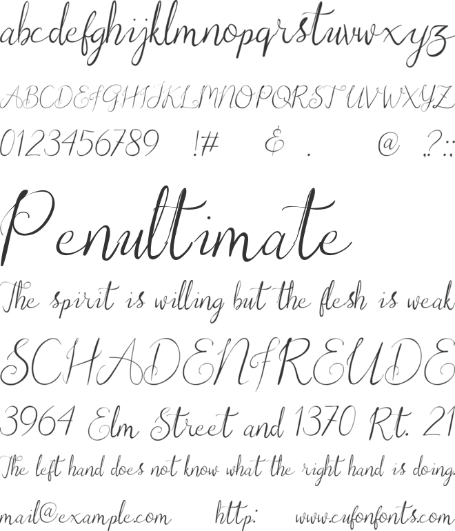 Christopher Lynn font preview