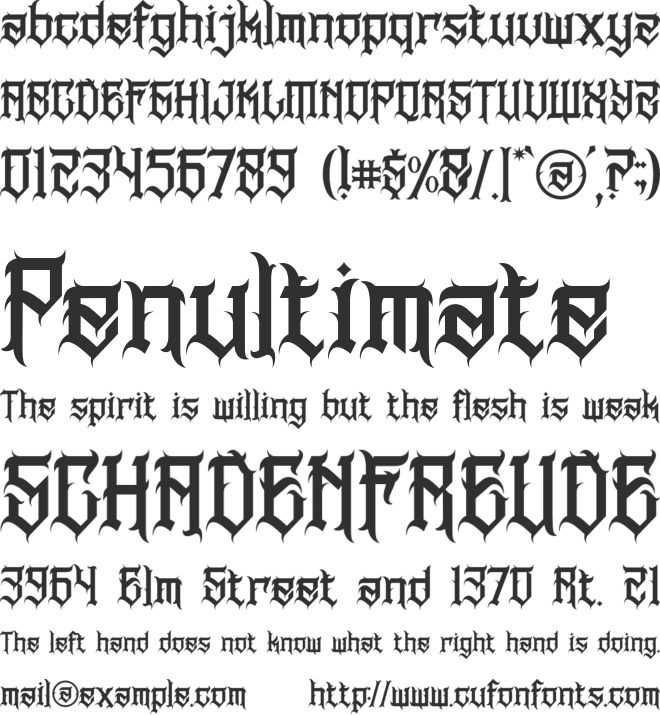 BWS NORTHLAND font preview