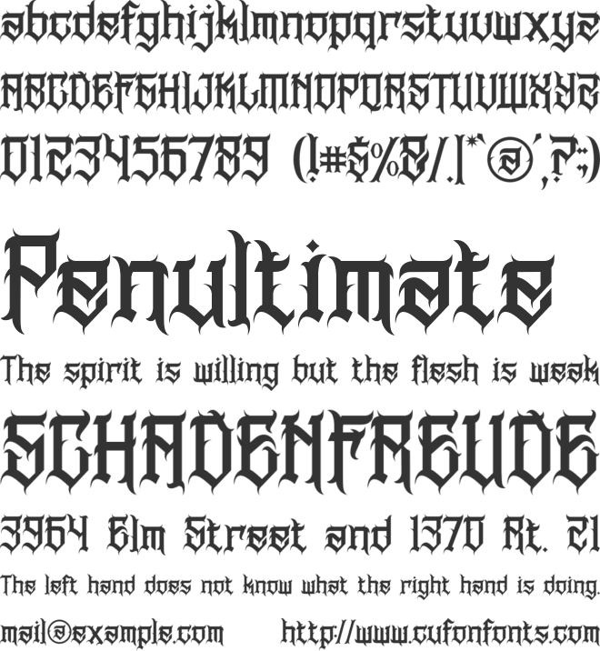 BWS NORTHLAND font preview