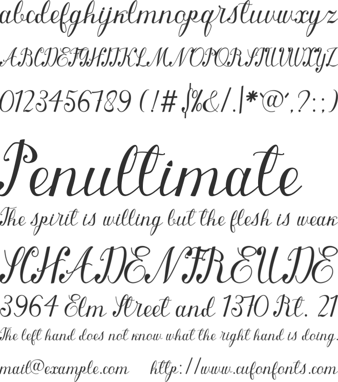 queenly font preview