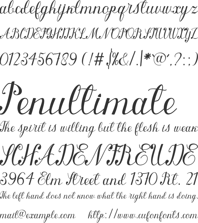 queenly font preview