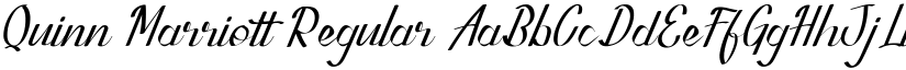 Quinn Marriott font download