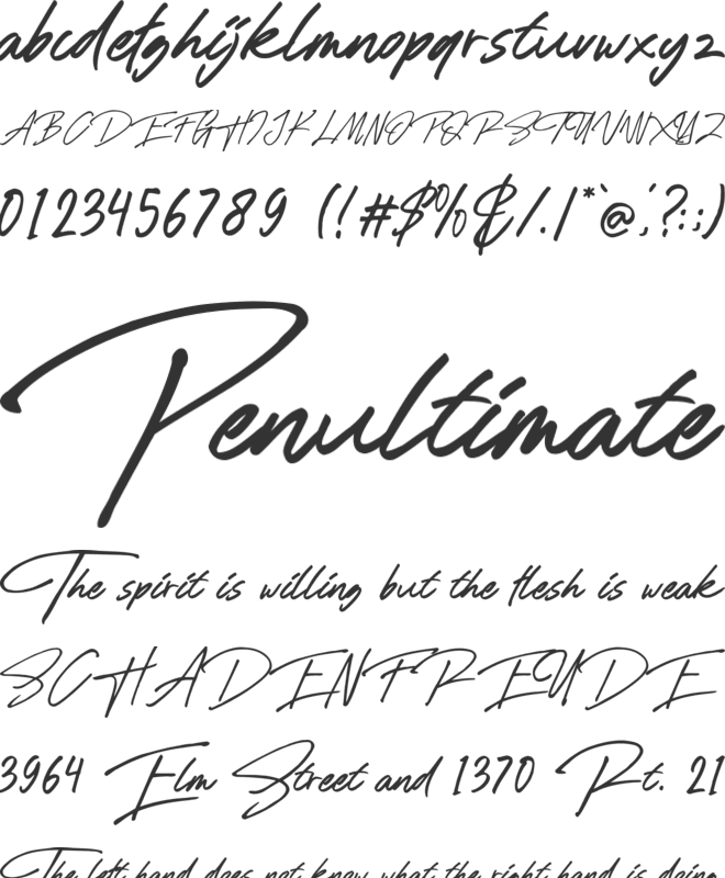 Rose Flinch font preview