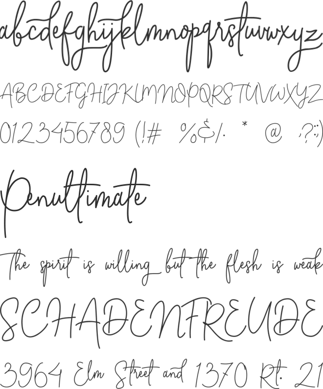 Absolute Nature font preview
