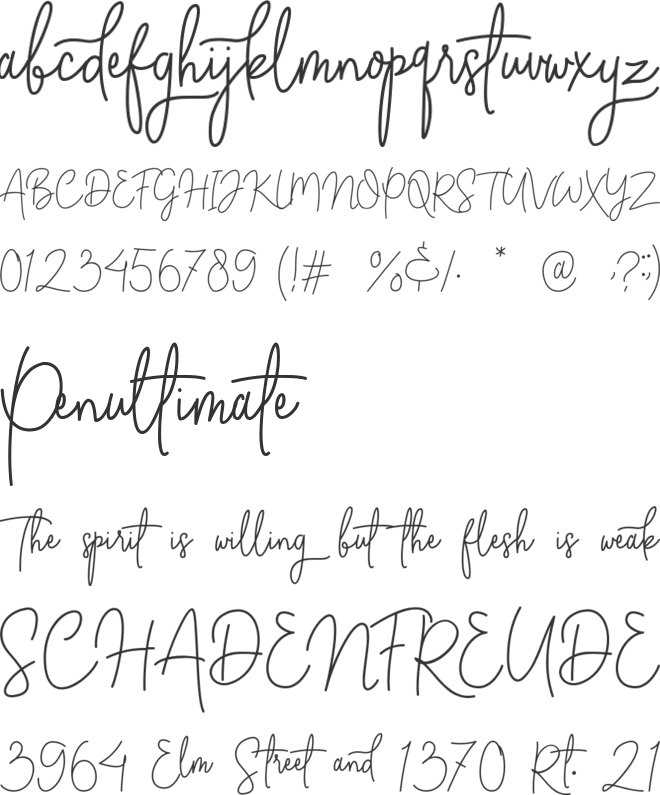 Absolute Nature font preview