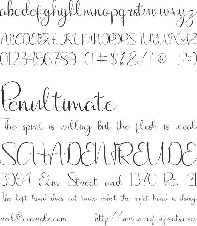 Hayatti font preview
