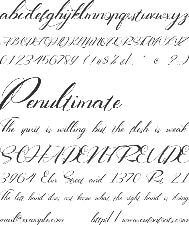 Right Signature font preview