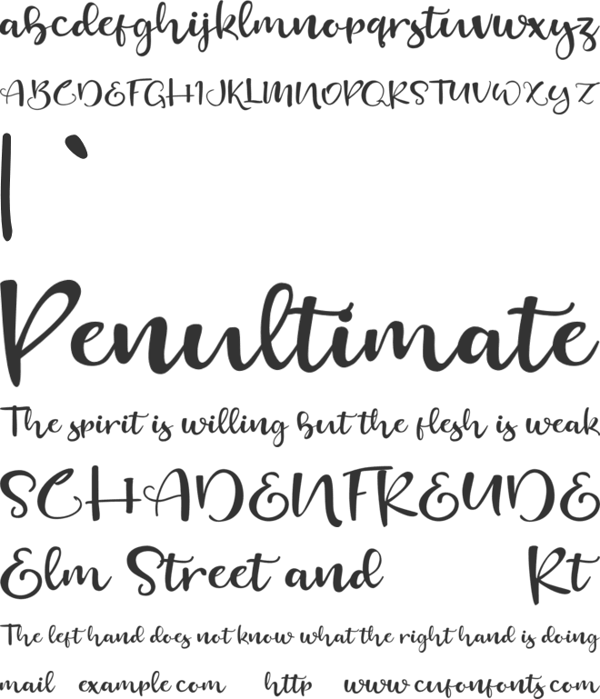 Cinchin font preview