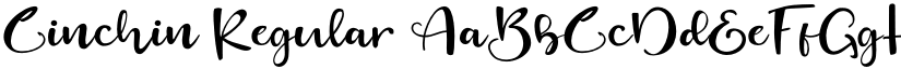 Cinchin Regular font