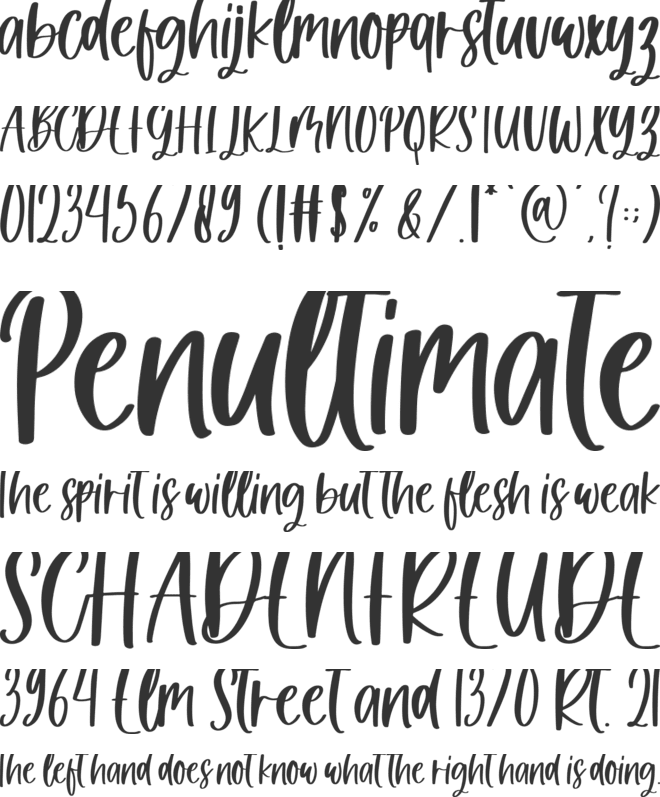 Winter Romance font preview