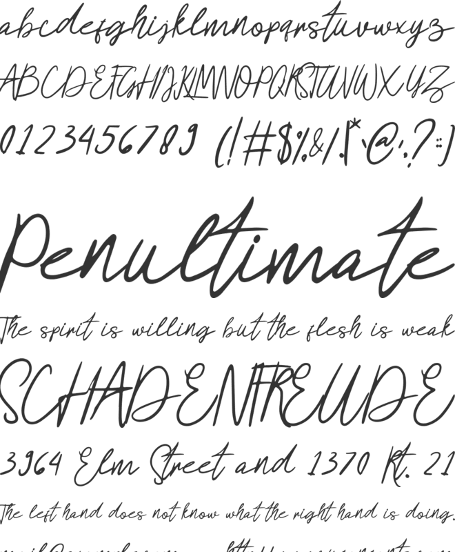 Signation font preview