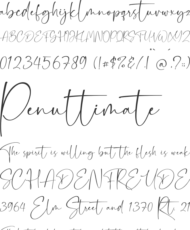 Dollamin font preview