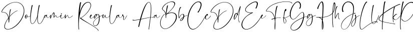 Dollamin Regular font