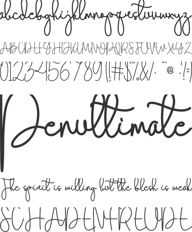 Coby Daila font preview