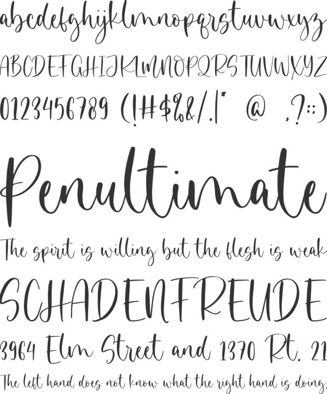 Magistone font preview