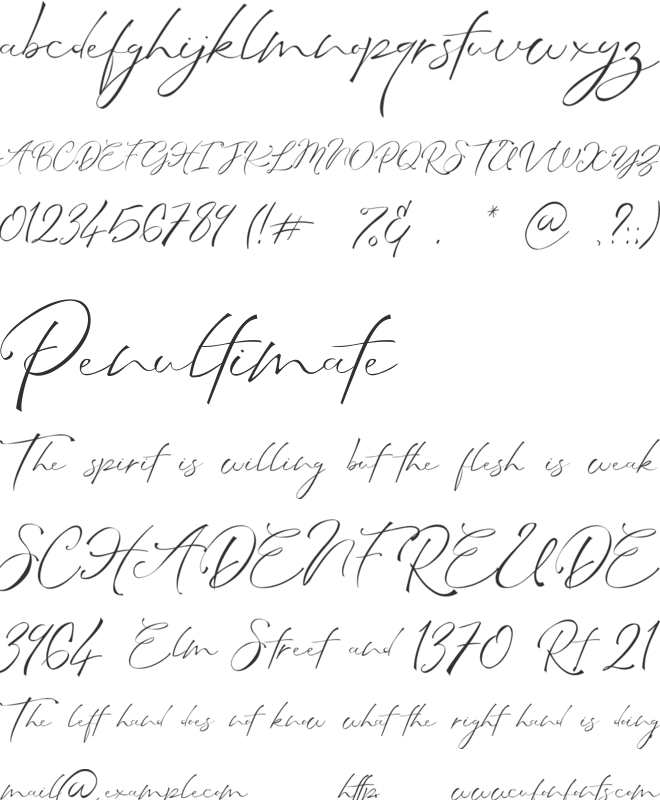 Amanda Signature font preview