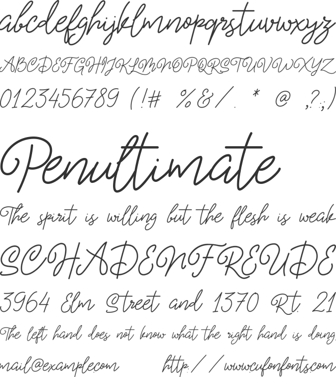 Amanda Vinola font preview