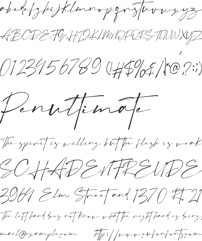 Austin font preview