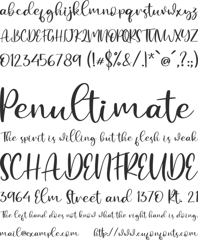 Withyou - Personal Use font preview