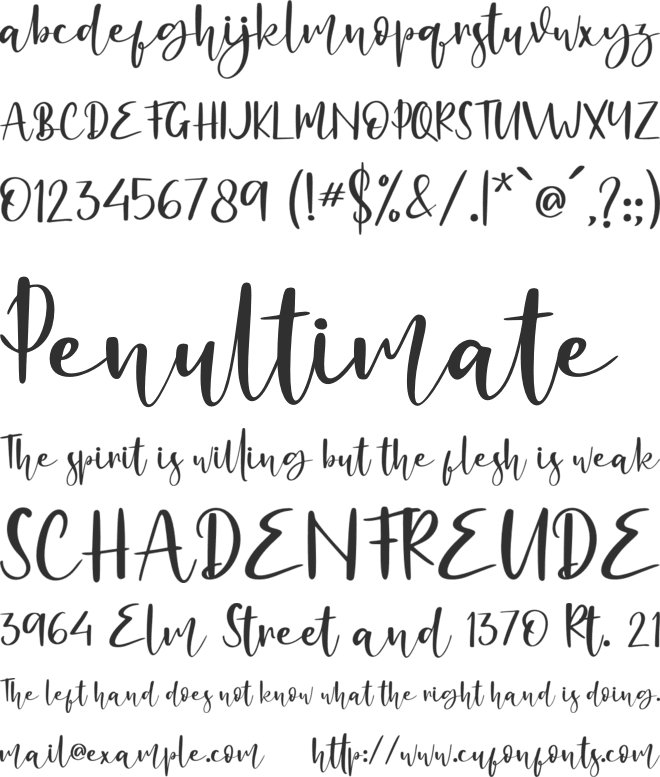 Alligattory - Personal Use font preview