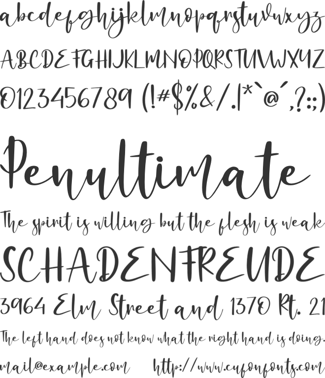 Alligattory - Personal Use font preview
