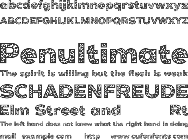 Cheetah font preview