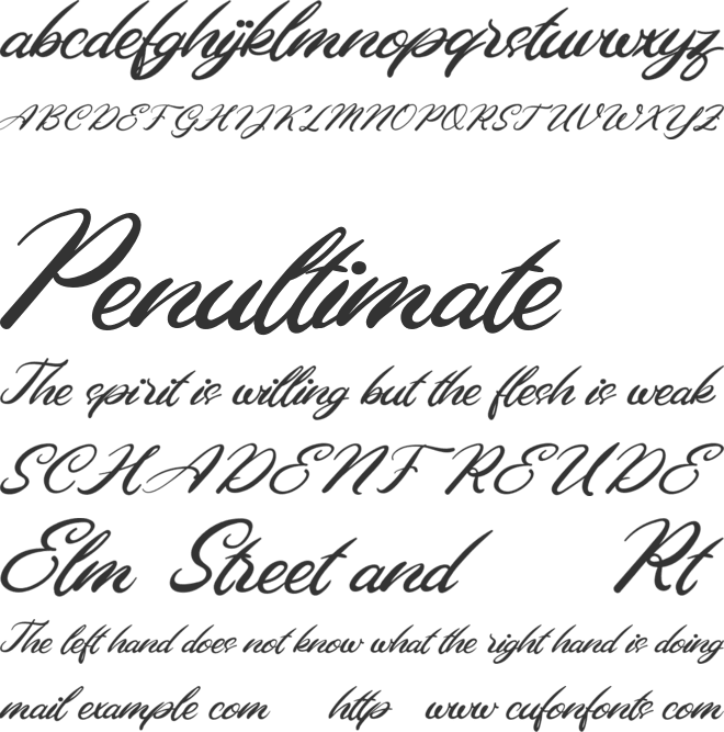 Ellena FREE font preview