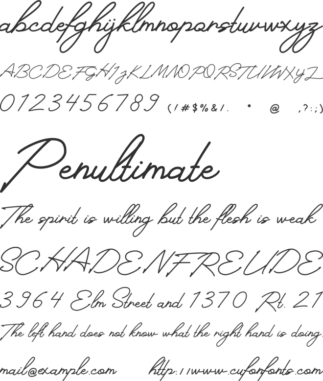 Felicity font preview