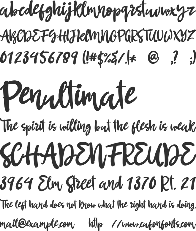 Butterfree font preview