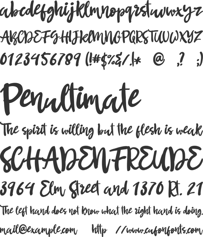 Butterfree font preview