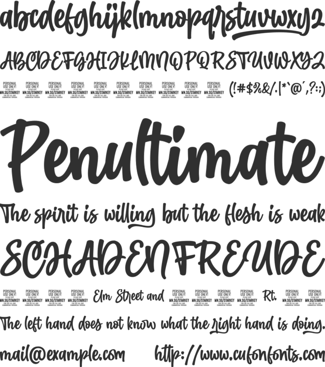 Starkey  PERSONAL USE font preview