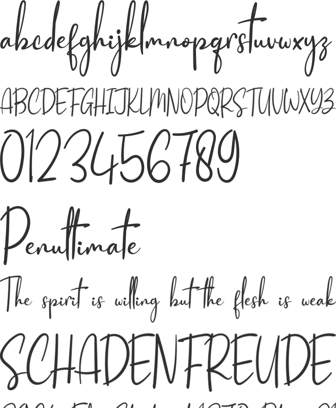 Ruth Signature font preview