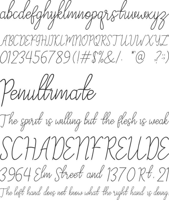 Zisilia font preview