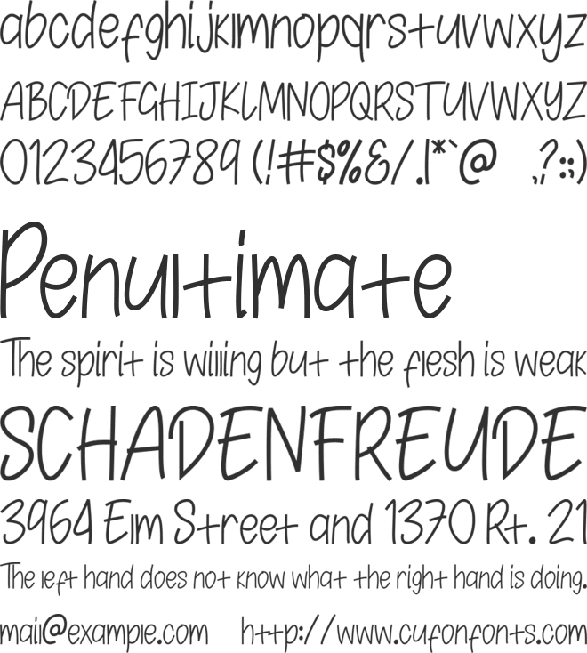 Purchuse font preview