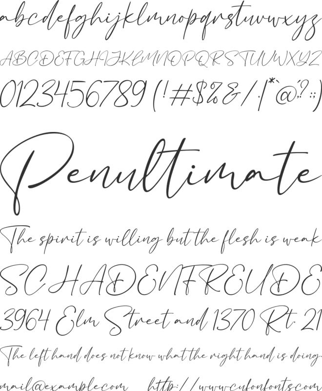 Bacalisties font preview
