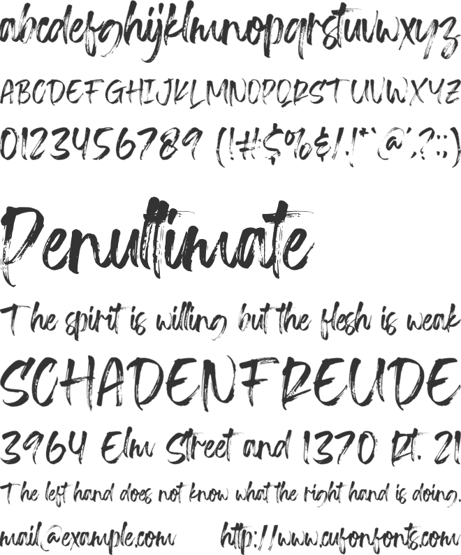 Transine  Brush font preview