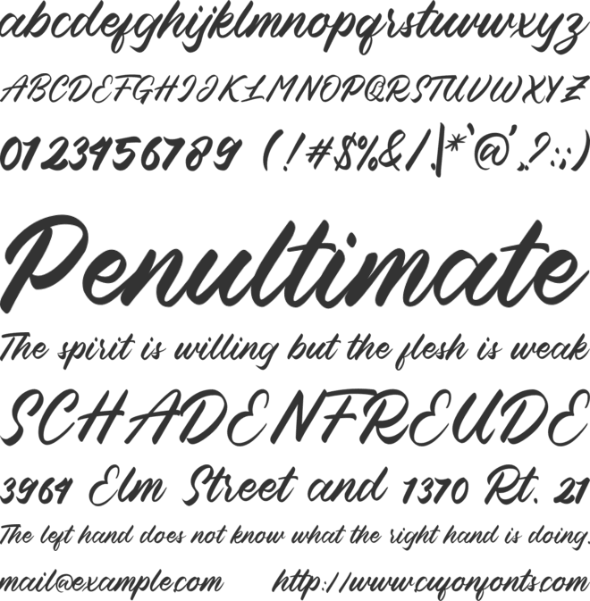 Blessed Friday font preview