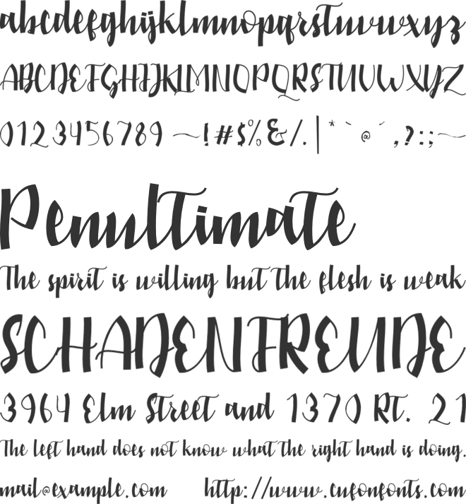 amstein font preview
