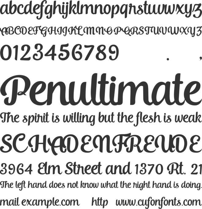 Chinchilla font preview