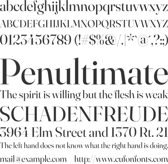 Fraunces 144pt S000 font preview