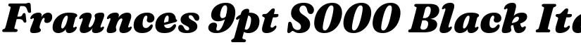 Fraunces 9pt S000 Black Italic font