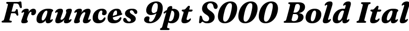 Fraunces 9pt S000 Bold Italic font