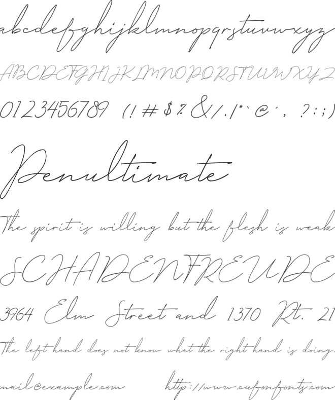 Milano Signature Script Font font preview